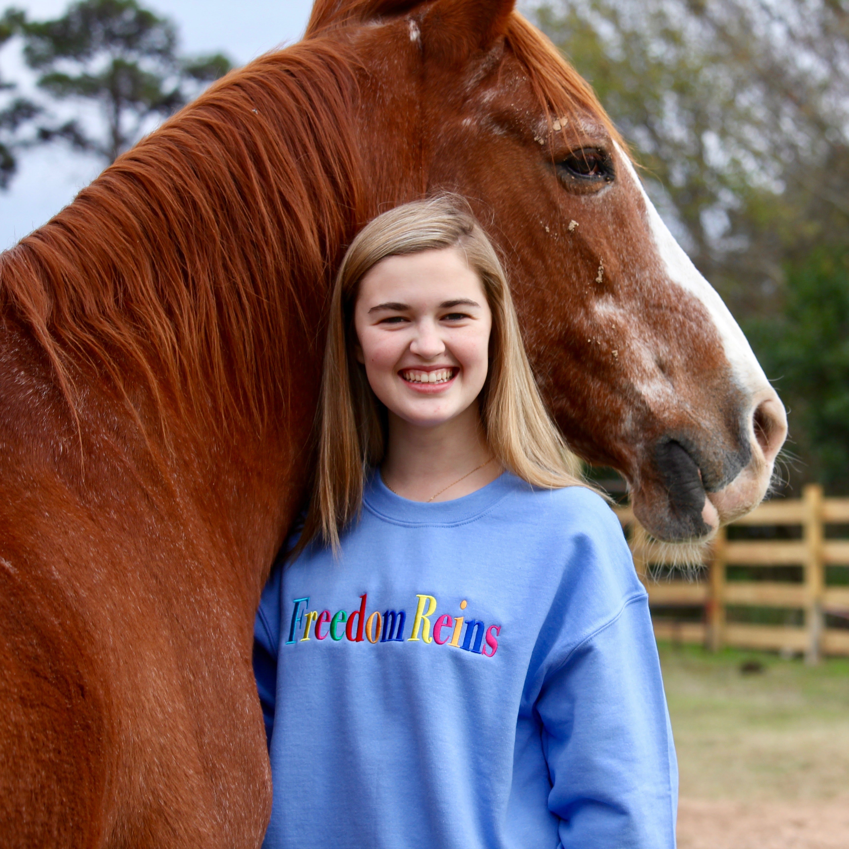 Blue Embroidered Crewneck